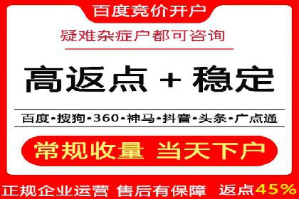 百度竞价广告案例分析：成功之道揭秘